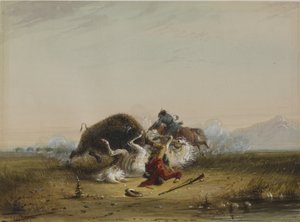 Pierre és a bölény alkotó: Alfred Jacob Miller