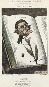 Déséchée virág: rajzfilm a Littré-ről - ill. 1871. 02. 01-től a „Nap virágai, gyümölcsei és zöldségei” c. alkotó: Alfred Le Petit