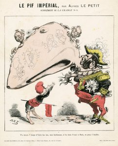 The Charge (1870), 6. szám, Színes szatirikus