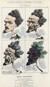 Le Raisin: Rajzfilm Henri Rochefortról - ill. 1871. 09. 02-től a "A nap virágai, gyümölcsei és zöldségei" című részben alkotó: Alfred Le Petit