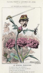 A Rosier des Batailles: rajzfilm Faidherbe tábornokról - ill. 1871. 01. 20-tól a „Nap virágai, gyümölcsei és zöldségei” c.