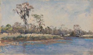 A Creek Wilmingtonban, N.C.