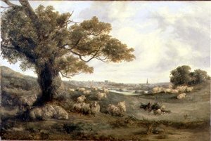 Norwich látképe