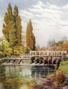 Angolnacsapdák Hedsorban alkotó: Alfred Robert Quinton