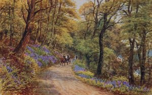 Hobby Drive, Clovelly (színes litho) alkotó: Alfred Robert Quinton