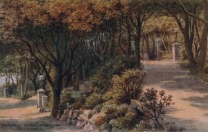 Shady Walks, Spa Pavilion Gardens, Felixstowe alkotó: Alfred Robert Quinton