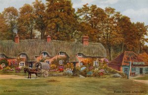 Swan Green, Lyndhurst alkotó: Alfred Robert Quinton