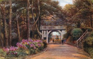 The Chine Gardens, Boscombe alkotó: Alfred Robert Quinton