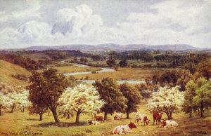 Evesham völgye alkotó: Alfred Robert Quinton