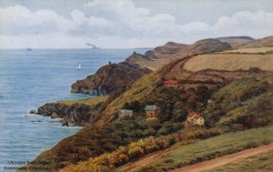 Woody Bay, a Martinhoe Common felől alkotó: Alfred Robert Quinton