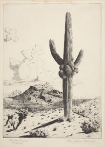 The Sentinel (Sahuaro) (rézkarc és akvatinta) alkotó: Alfred Rudolph Waud