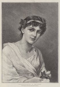 Hortensia