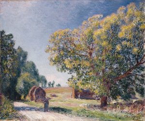 Egy tisztás az erdőben, 1895 alkotó: Alfred Sisley