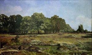 Gesztenye sikátor a La Celle-Saint Cloudban alkotó: Alfred Sisley