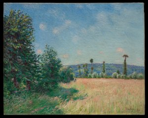 Sahurs rétjei a reggeli napfényben alkotó: Alfred Sisley
