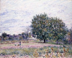 Diófák, a lenyugvó nap hatása – 1882. október első napja alkotó: Alfred Sisley