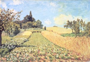 Búzamező (olaj, vászon) alkotó: Alfred Sisley