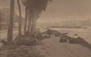  alkotó: Alfred Stieglitz