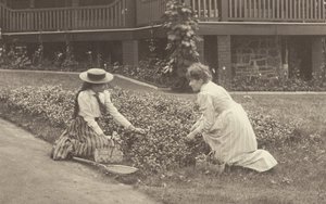 Egy virágágyás Oaklawnban alkotó: Alfred Stieglitz