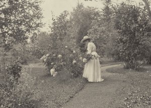 Az Oaklawnban alkotó: Alfred Stieglitz