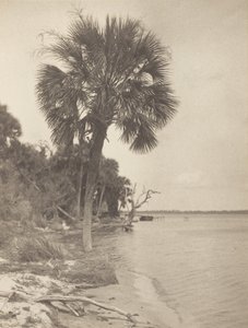 Rockledge-ben, Floridában alkotó: Alfred Stieglitz