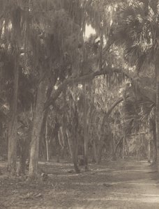  alkotó: Alfred Stieglitz