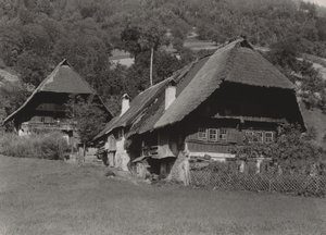 Fekete-erdei ház alkotó: Alfred Stieglitz