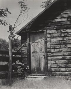  alkotó: Alfred Stieglitz