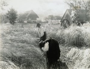 Kora reggel alkotó: Alfred Stieglitz