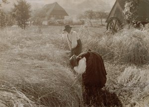 Kora reggel alkotó: Alfred Stieglitz