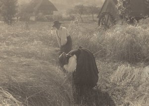  alkotó: Alfred Stieglitz