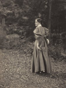 Emmy Oaklawnban, Lake George-ban alkotó: Alfred Stieglitz