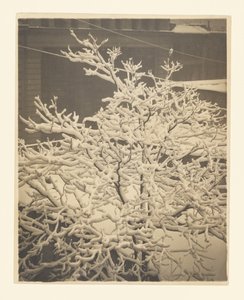 A 291-es hátsó ablakából alkotó: Alfred Stieglitz