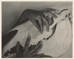  alkotó: Alfred Stieglitz