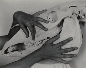  alkotó: Alfred Stieglitz
