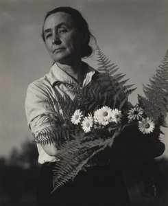 Georgia O’Keeffe alkotó: Alfred Stieglitz