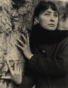  alkotó: Alfred Stieglitz