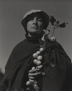  alkotó: Alfred Stieglitz