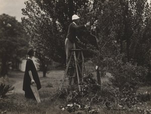 Georgia O’Keeffe és Donald Davidson fák metszése közben alkotó: Alfred Stieglitz