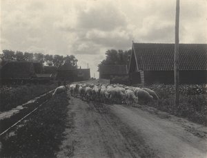  alkotó: Alfred Stieglitz