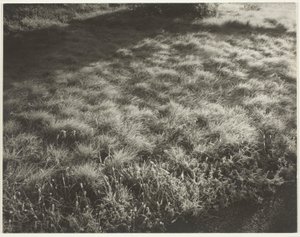 Fű és fagy alkotó: Alfred Stieglitz