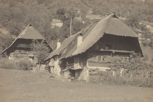 Gutach-házak alkotó: Alfred Stieglitz