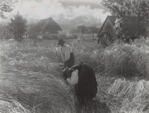  alkotó: Alfred Stieglitz