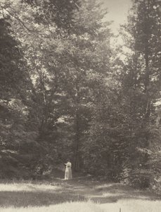  alkotó: Alfred Stieglitz