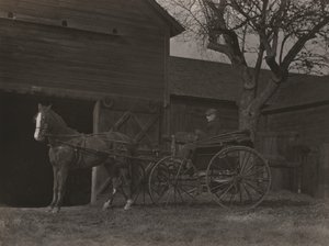 Ló és kocsi alkotó: Alfred Stieglitz