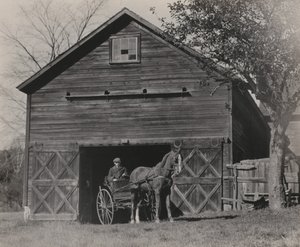  alkotó: Alfred Stieglitz