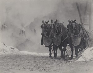 Lovak, New York alkotó: Alfred Stieglitz