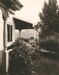 Ház és szőlőlevelek alkotó: Alfred Stieglitz