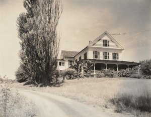 House és Poplars, Lake George alkotó: Alfred Stieglitz