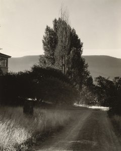  alkotó: Alfred Stieglitz